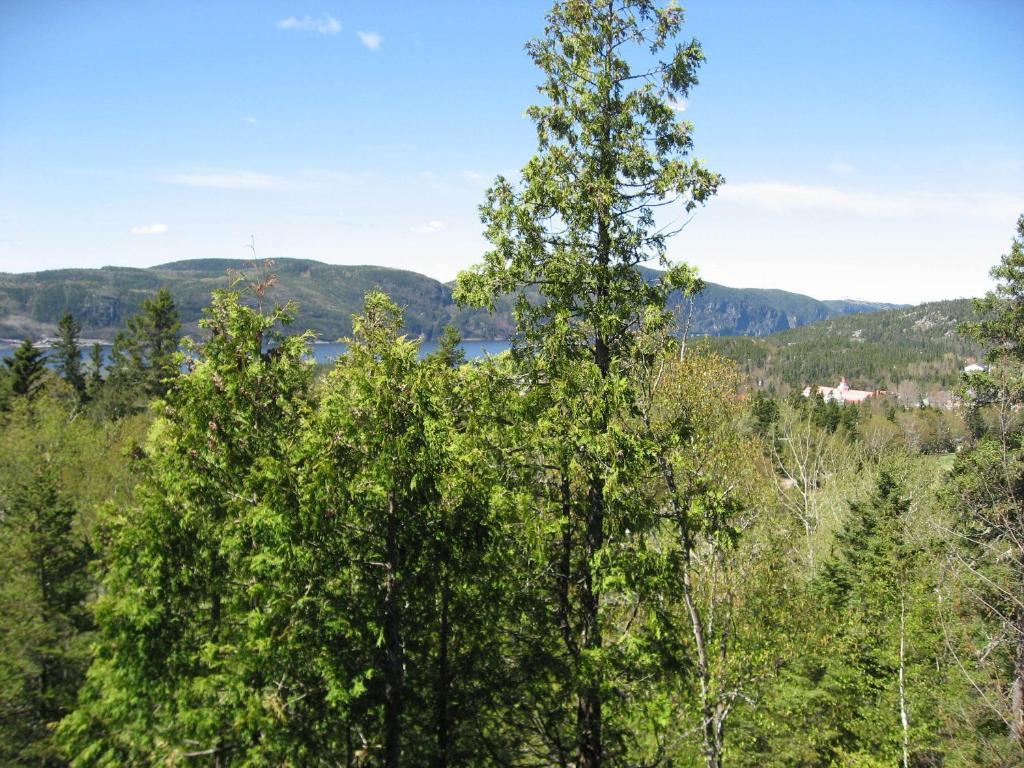 Chalet De La Montagne Βίλα Tadoussac Εξωτερικό φωτογραφία